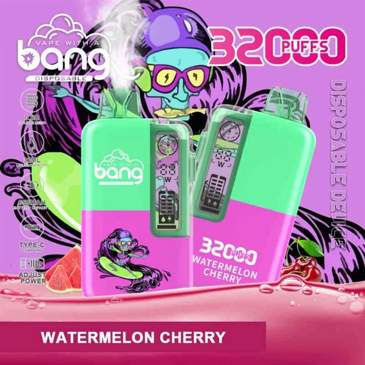 Pauk 32000