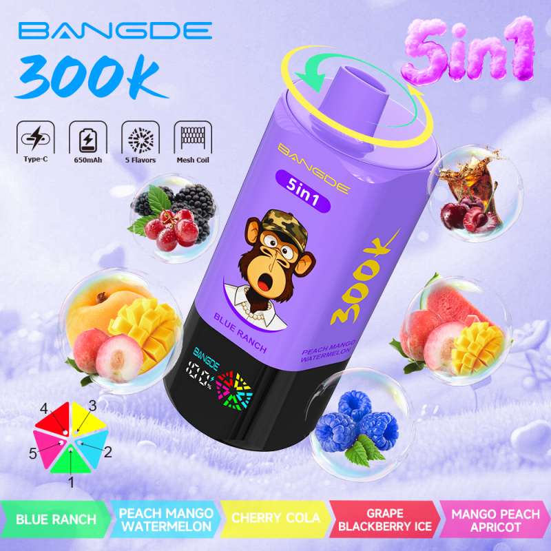 BANG DE 300K 2 BANG DE 300K 2