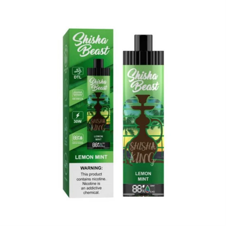 R&M ShiSha Beast 20000 pahvi