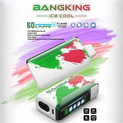 PANKING ICE COOL 60000
