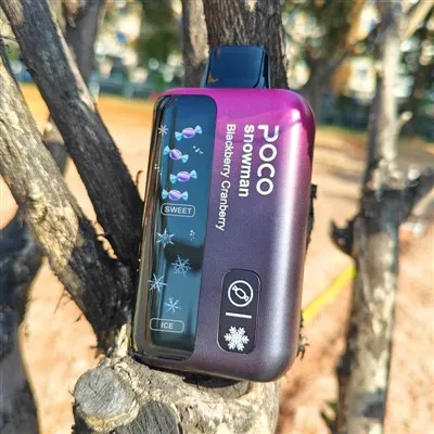 POCO LUMEMEES 70000 PUHVI