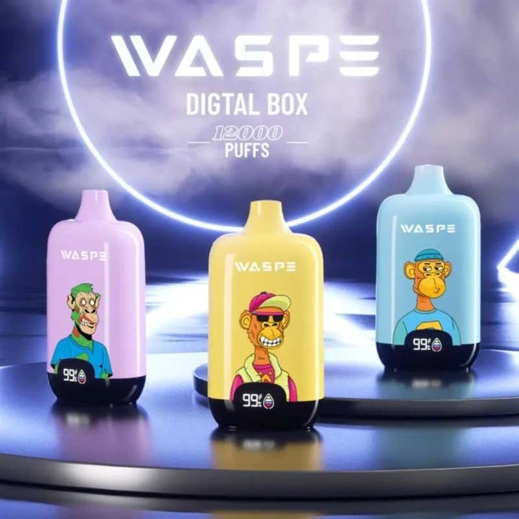 WASPE digiboks 12000
